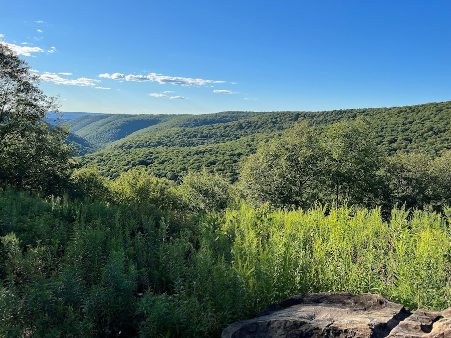 Two Rock Run Vista overlook at Burns Run Wild Area in Sproul State Forest, Pennsylvania.