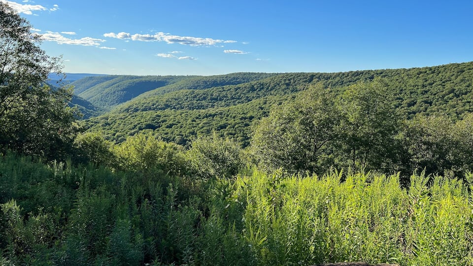 Two Rock Run Vista overlook at Burns Run Wild Area in Sproul State Forest, Pennsylvania.
