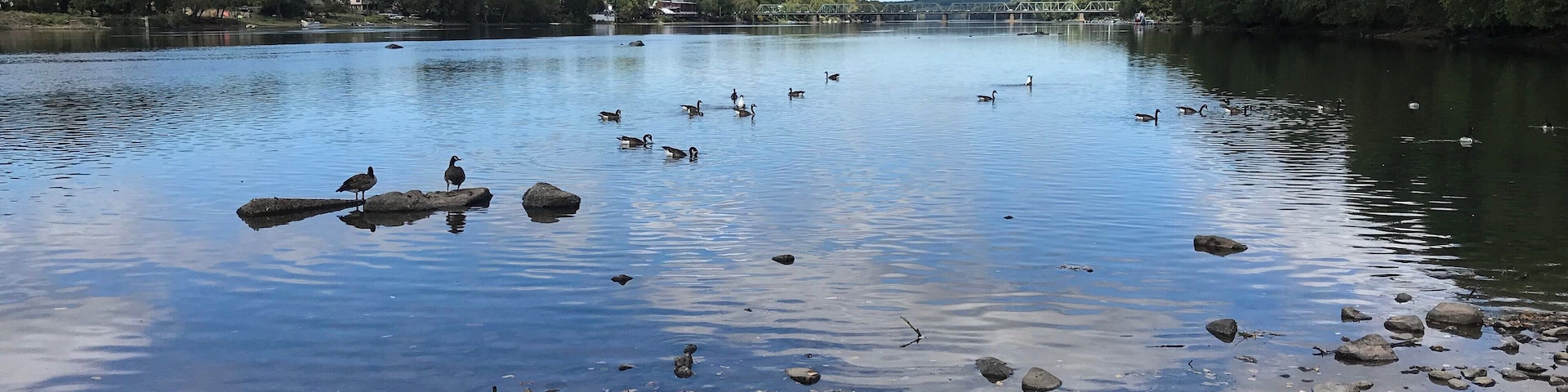 Wing Dam on the Delaware River
