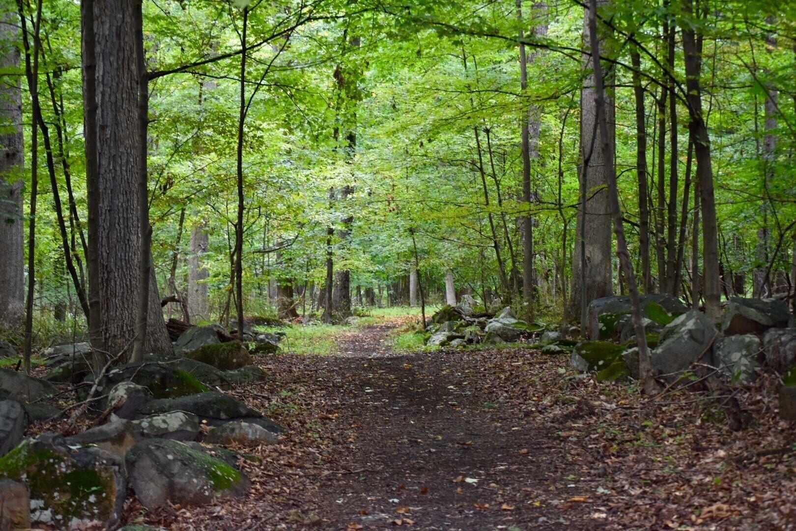 Wooded trail off of Overlook road. Unmarked, unmaintained but a peaceful area to walk. Use caution in the boulder area due to drop offs. 