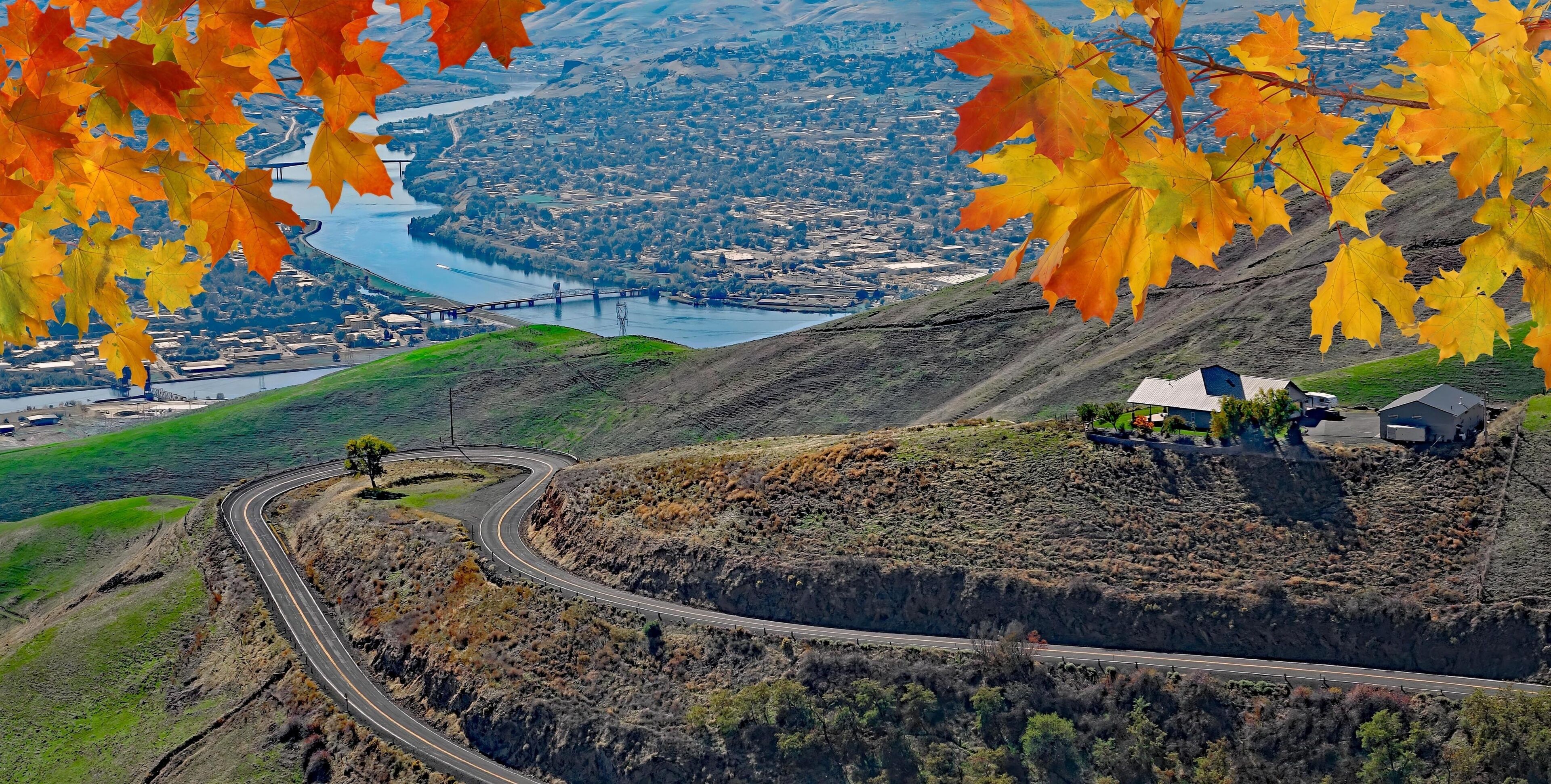 View of Lewiston, Idaho and Clarkston, Wa from the Lewiston Hill overlook framed by fall maple leaves