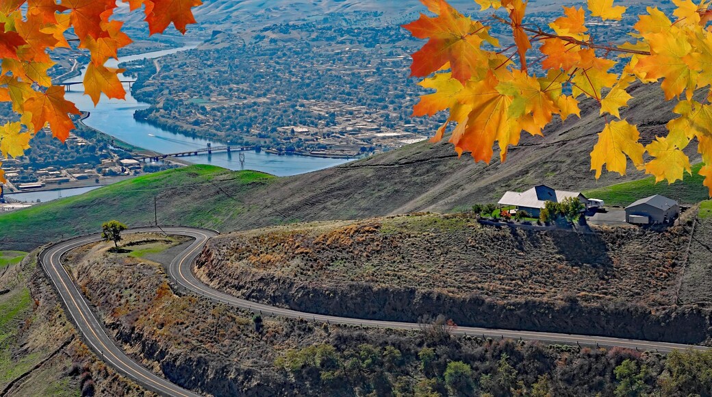 View of Lewiston, Idaho and Clarkston, Wa from the Lewiston Hill overlook framed by fall maple leaves