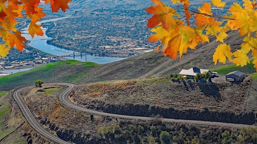 View of Lewiston, Idaho and Clarkston, Wa from the Lewiston Hill overlook framed by fall maple leaves