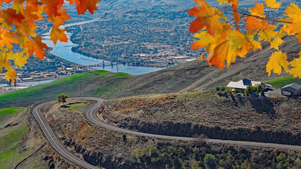 A winding road, a bridge, and a river with autumn leaves.