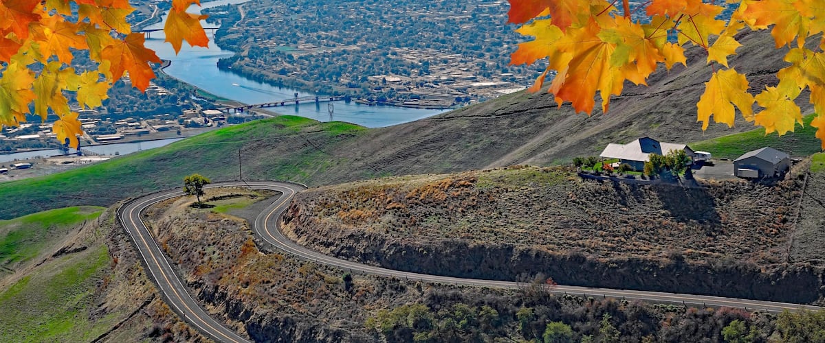 A winding road, a bridge, and a river with autumn leaves.