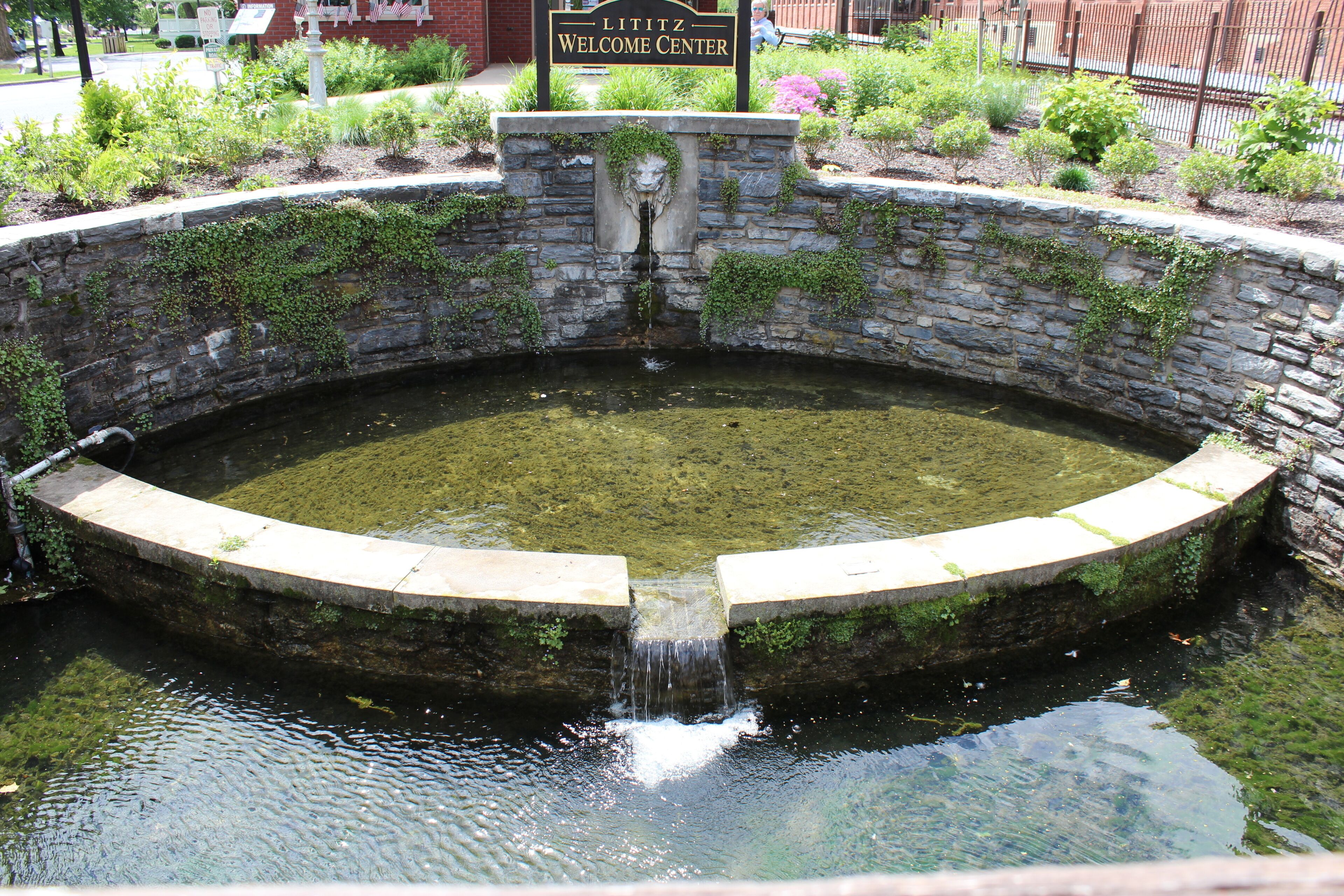 ลิทิตซ์