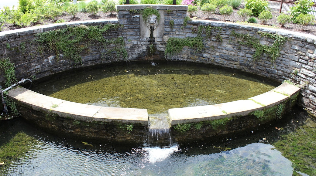 ลิทิตซ์