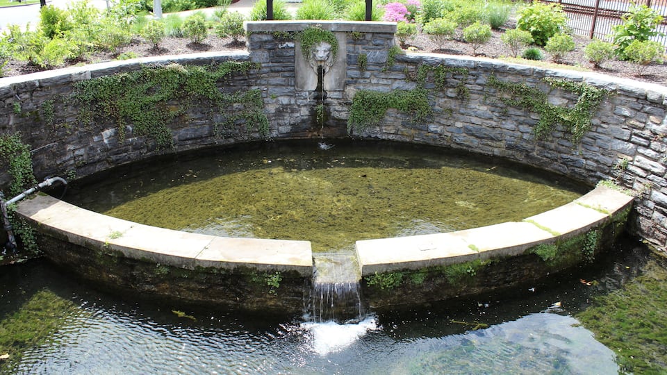 fountain in the park