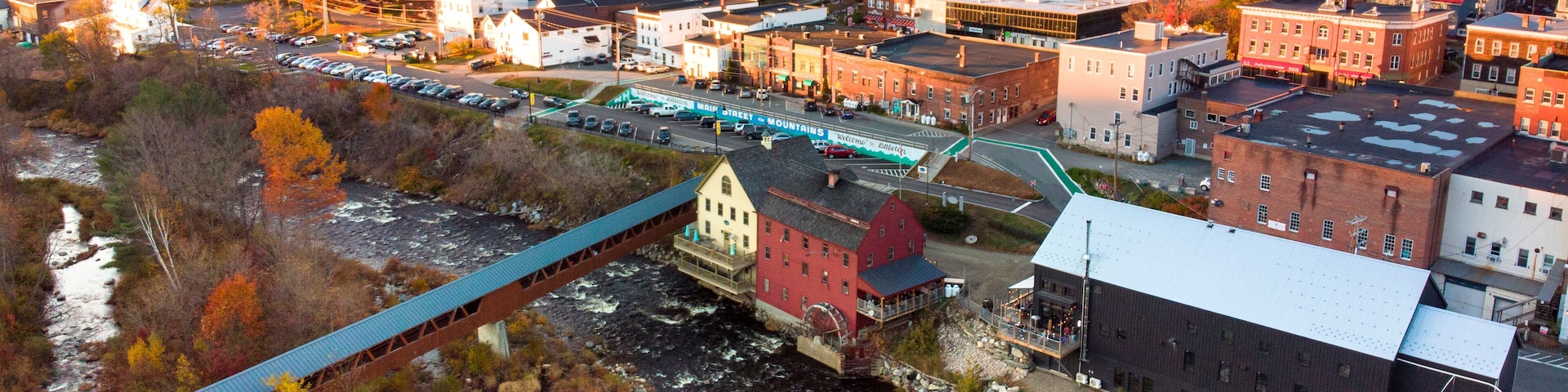 A town with a river, a bridge, and autumn-colored trees.