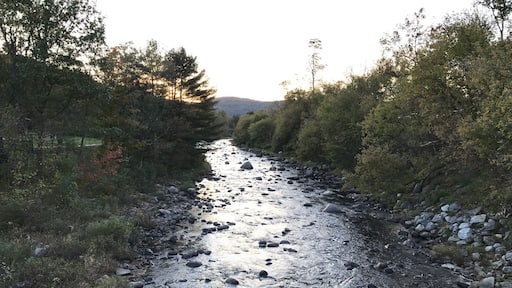 Just a beautiful day in New Hampshire.