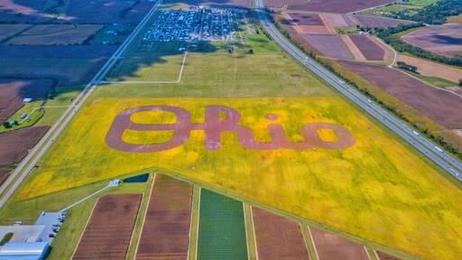 Ohio State University Dept of Ag created this giant script Ohio in a soybean field near London Ohio