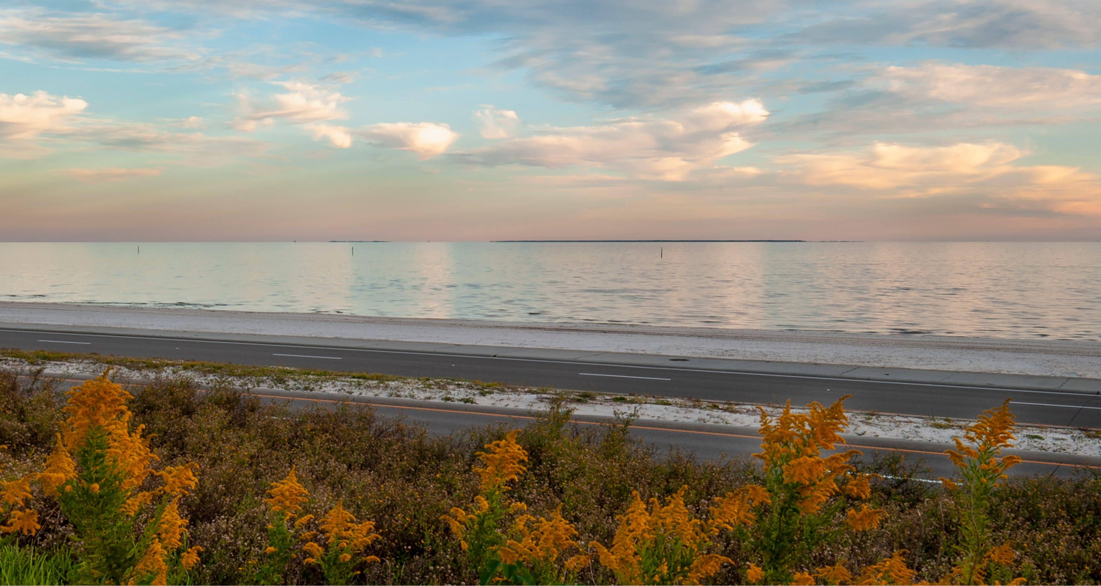 Cat Island from US Hwy 90, Long Beach, MS