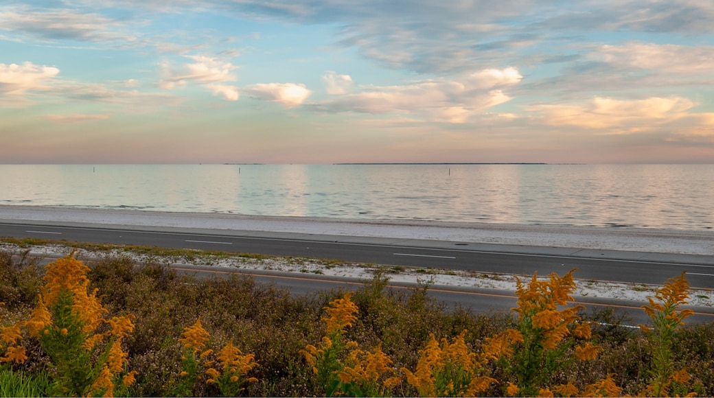 Cat Island from US Hwy 90, Long Beach, MS