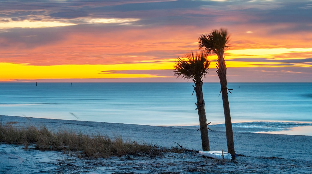 Surf-Board at Sunrise