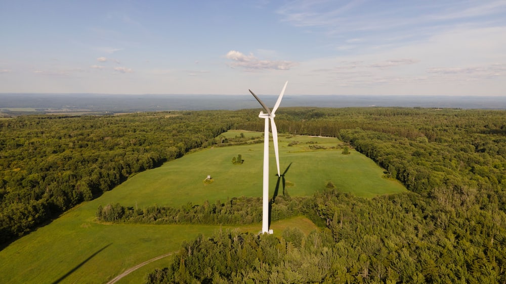 A wind turbine in a green field with trees in the background.