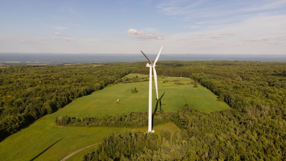 A wind turbine in a green field with trees in the background.