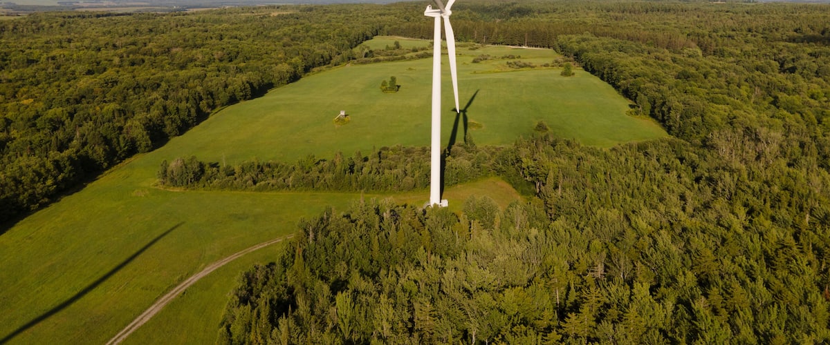 A wind turbine in a green field with trees in the background.