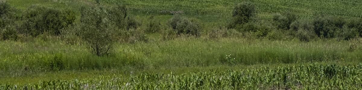 Wind turbine in Northern New York; Lowville, New York, United States of America