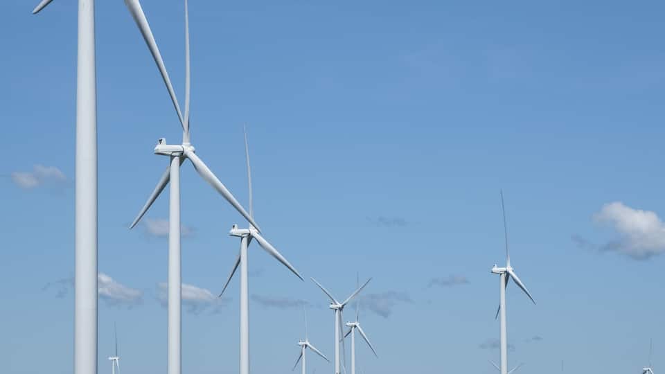 A wind farm with multiple wind turbines in a green field.