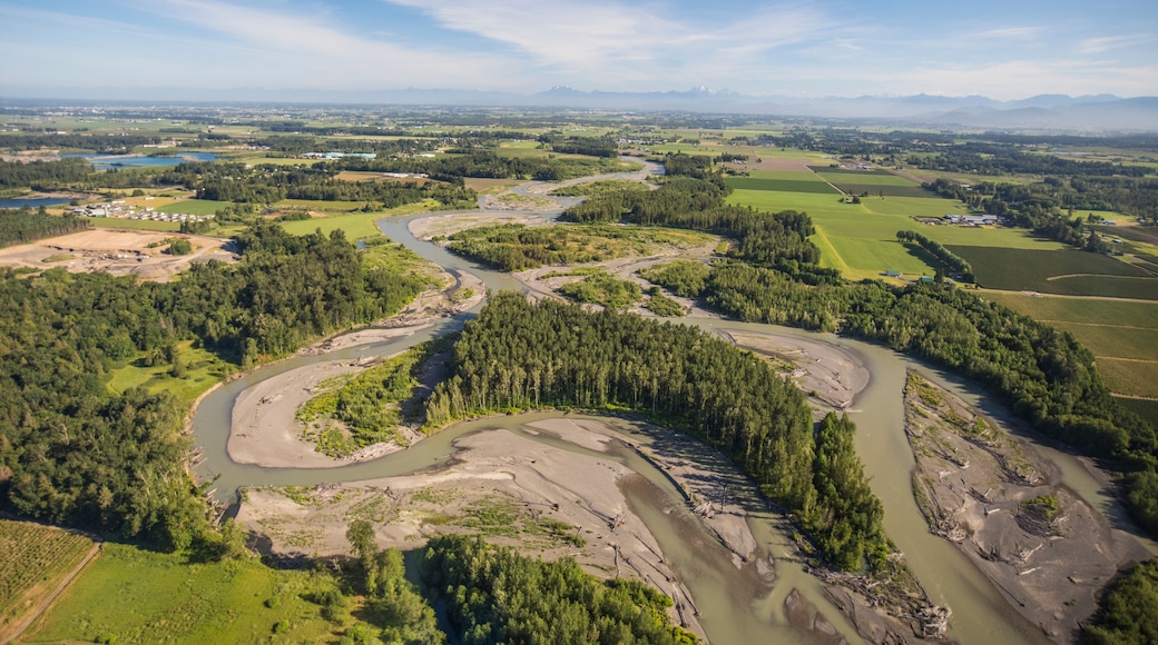 Braided section of the Nooksack River, Washington.