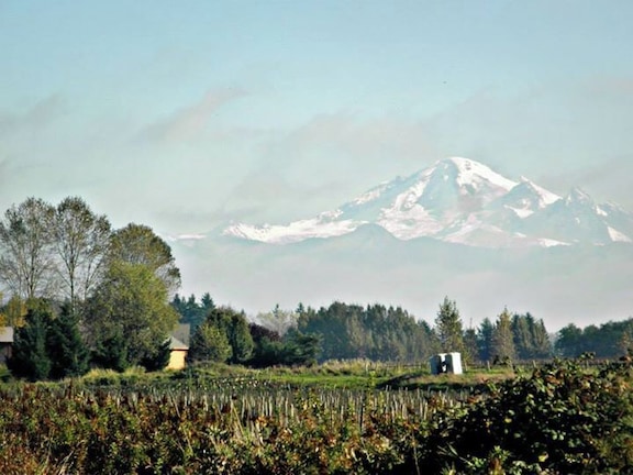 A snow-capped mountain, a field with crops, and a small building.