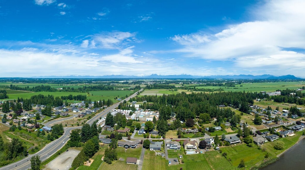 360 Aerial Panoramic View of Wiser Lake Lynden Washington Mount Baker WA