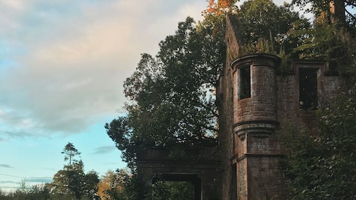 An old abandoned mansion outside of Annan