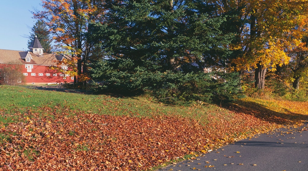 Red Barn, Lyndonville, Vermont