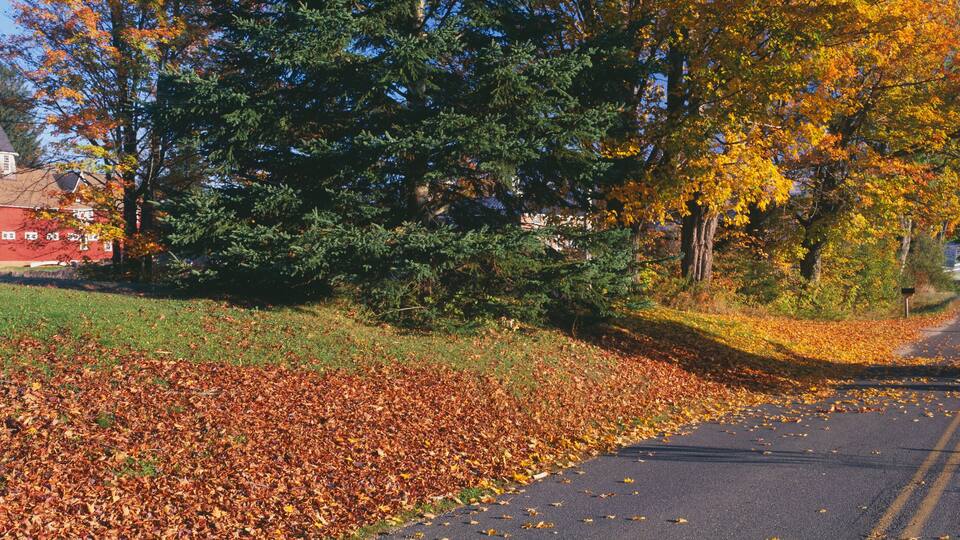 Red Barn, Lyndonville, Vermont