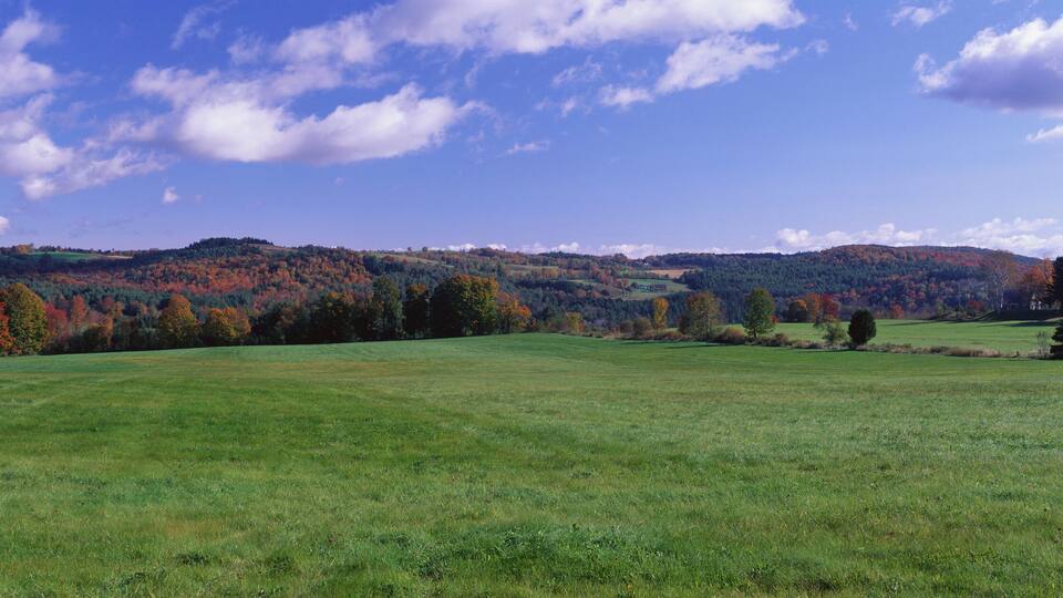 This is a green field on Darling Hill Road. There are fall leaves on the distant trees with a blue sky and white puffy clouds.