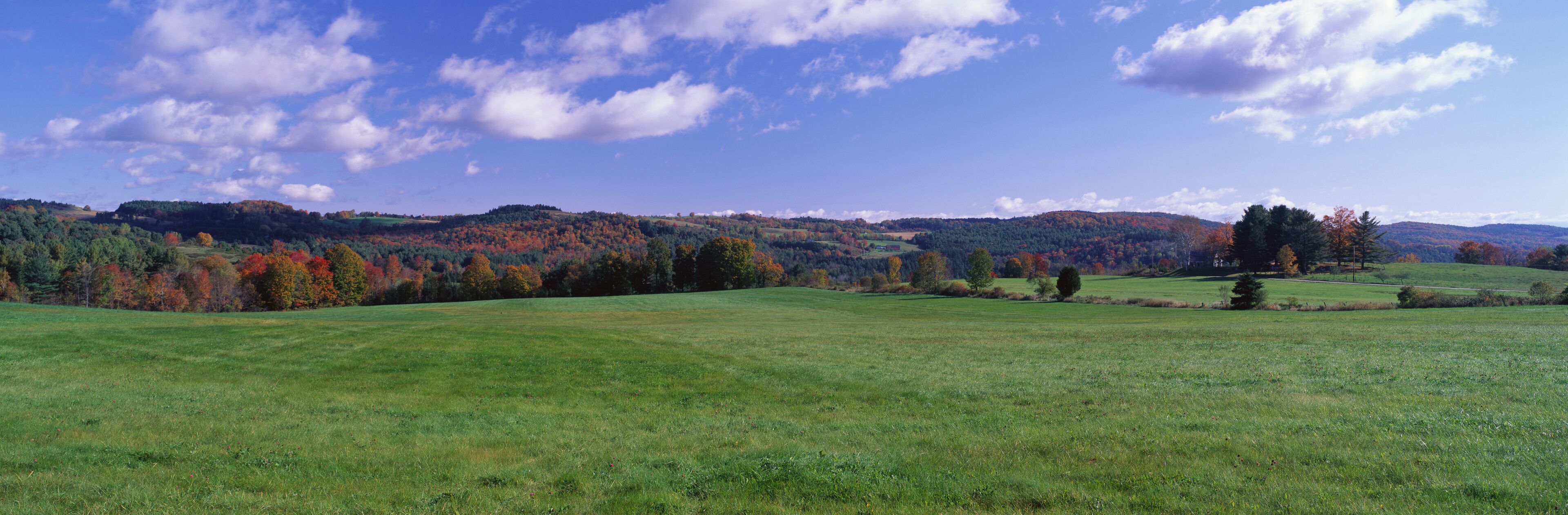 This is a green field on Darling Hill Road. There are fall leaves on the distant trees with a blue sky and white puffy clouds.