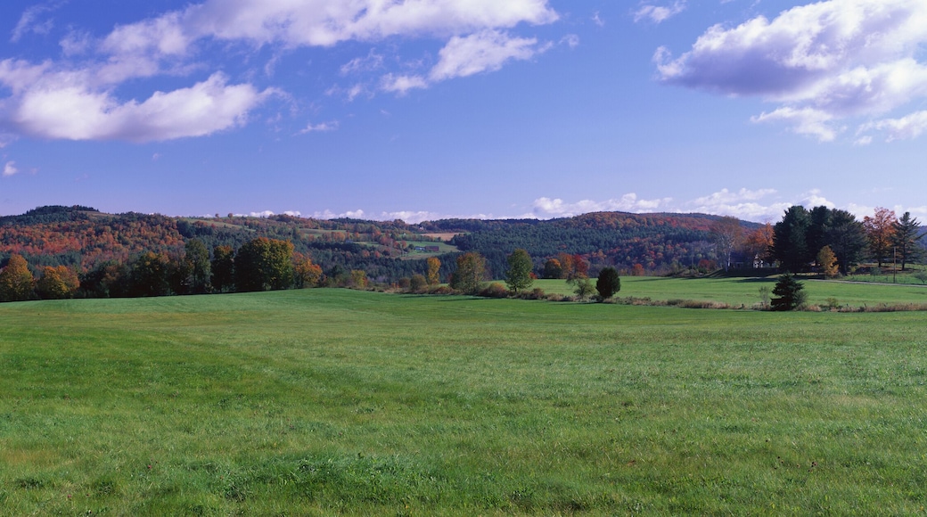 This is a green field on Darling Hill Road. There are fall leaves on the distant trees with a blue sky and white puffy clouds.