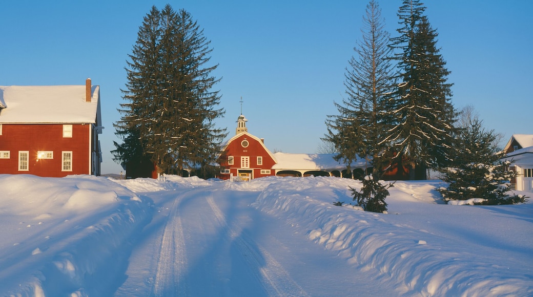 ลินดอนวิลล์