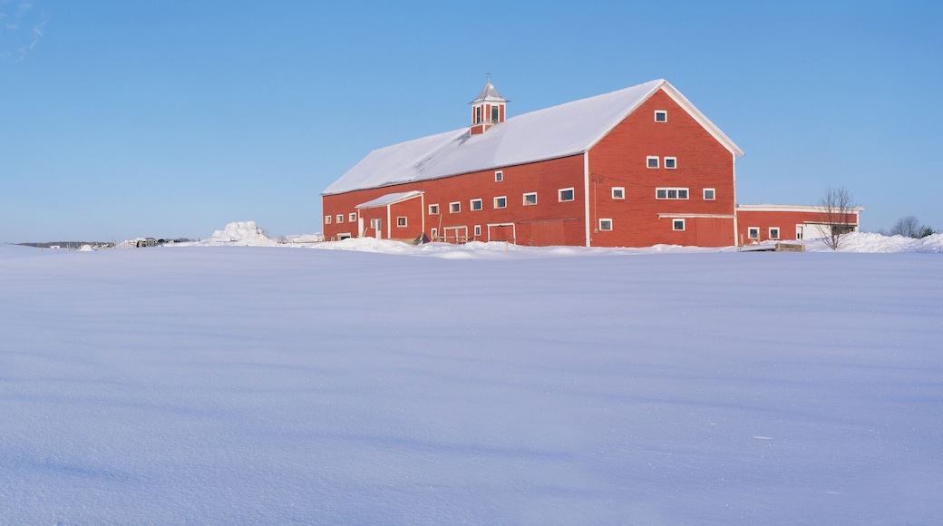 Red Barn in snow, Lyndonville, Vermont