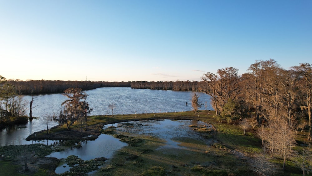 Un lac entouré d’arbres et une zone herbeuse sous un ciel dégagé.