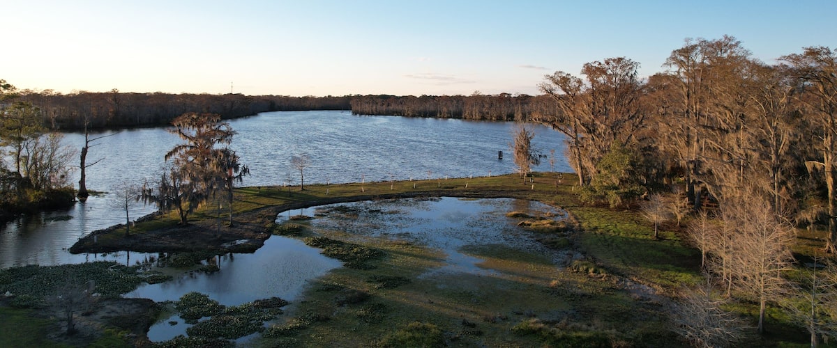 A lake surrounded by trees and a grassy area with a clear sky.