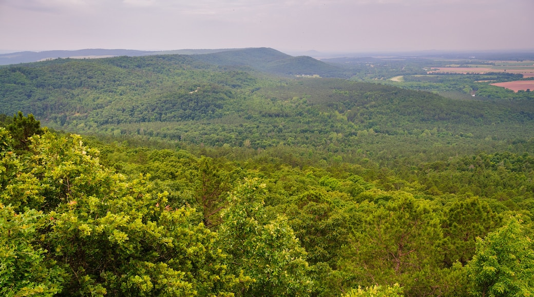 ๋งฌ๋ฒ๋ฅธ