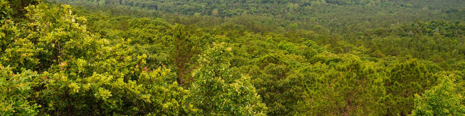 Petit Jean State Park