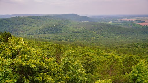 Petit Jean State Park