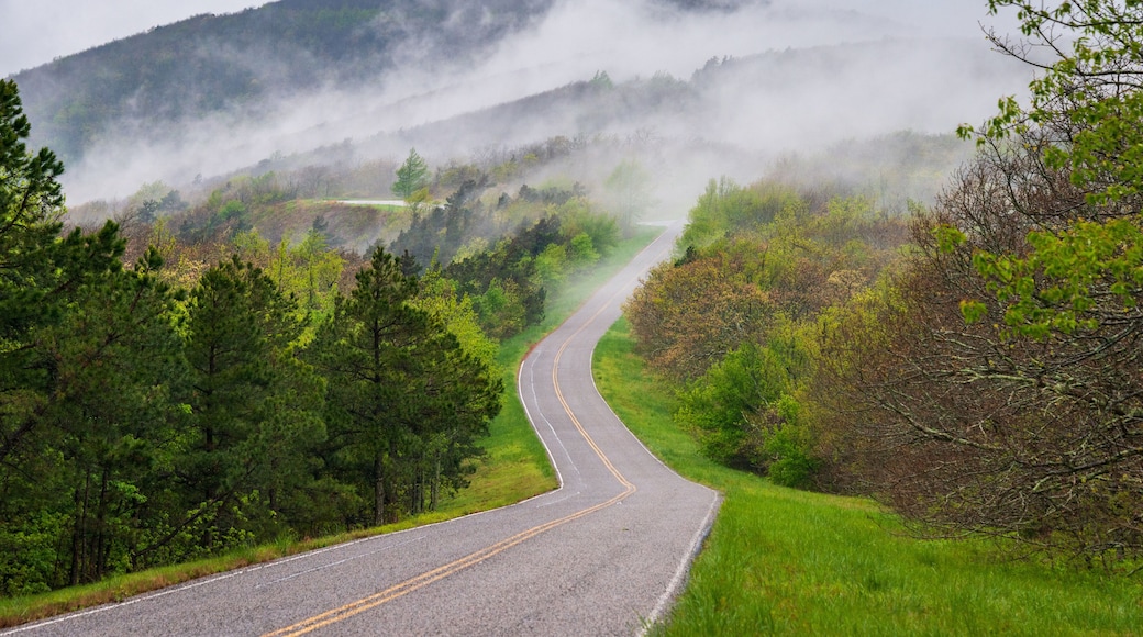 ๋งฌ๋ฒ๋ฅธ