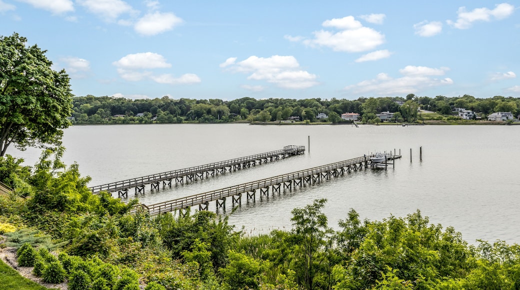 aerial scenic Manhasset view of sound with long piers