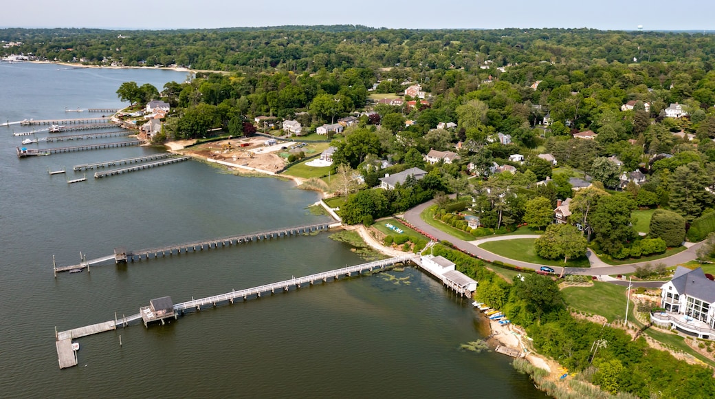 A lakeside community with docks, houses, and a marina.