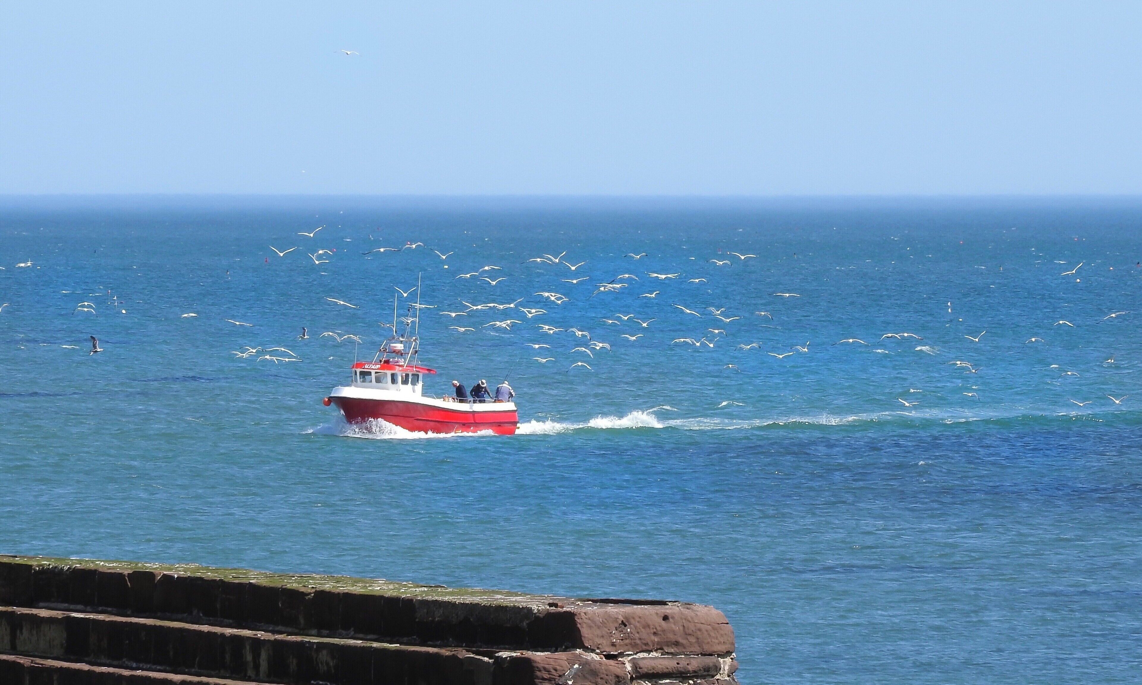 Taken at the harbour in Arbroath, Scotland, which lies on the North Sea coast. (June 2017)

#Trovember