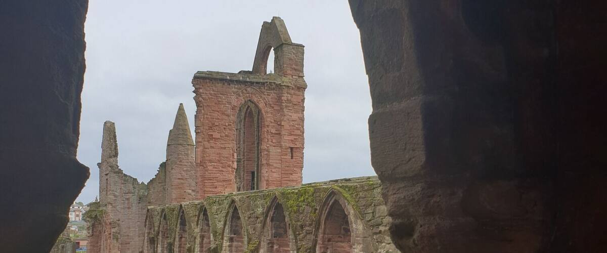 The view from the tower