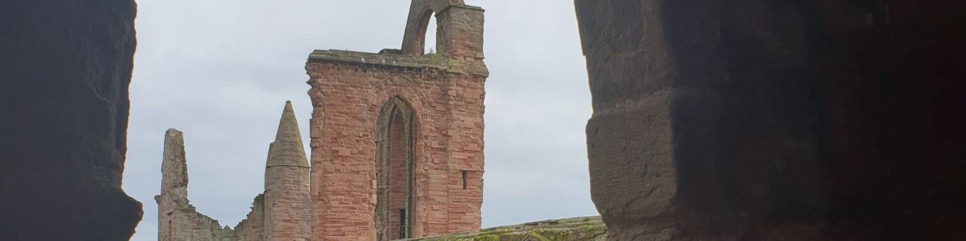 The view from the tower