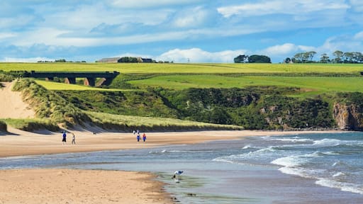 Take a off the map to a place that you think is a private property. Walk among fields of wheat and finally the view opens to the amazing ocean hitting this secluded beach. A gem hidden behind a field of farms.