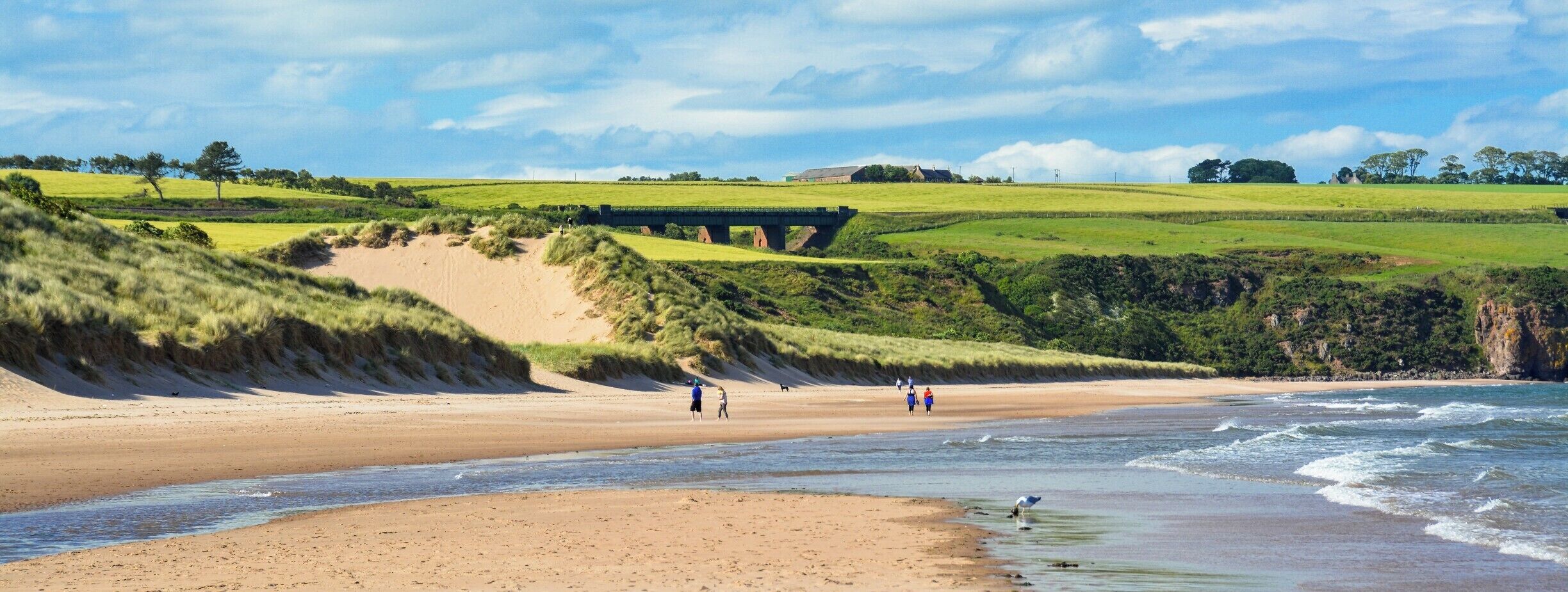 A beach with people walking, a bridge, and green fields.