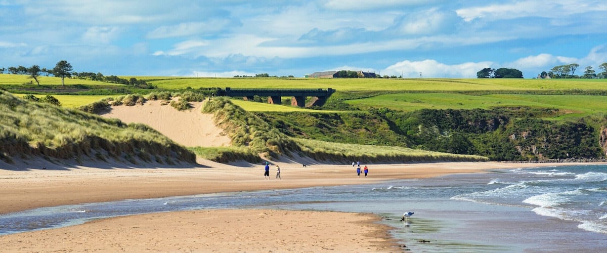 A beach with people walking, a bridge, and green fields.