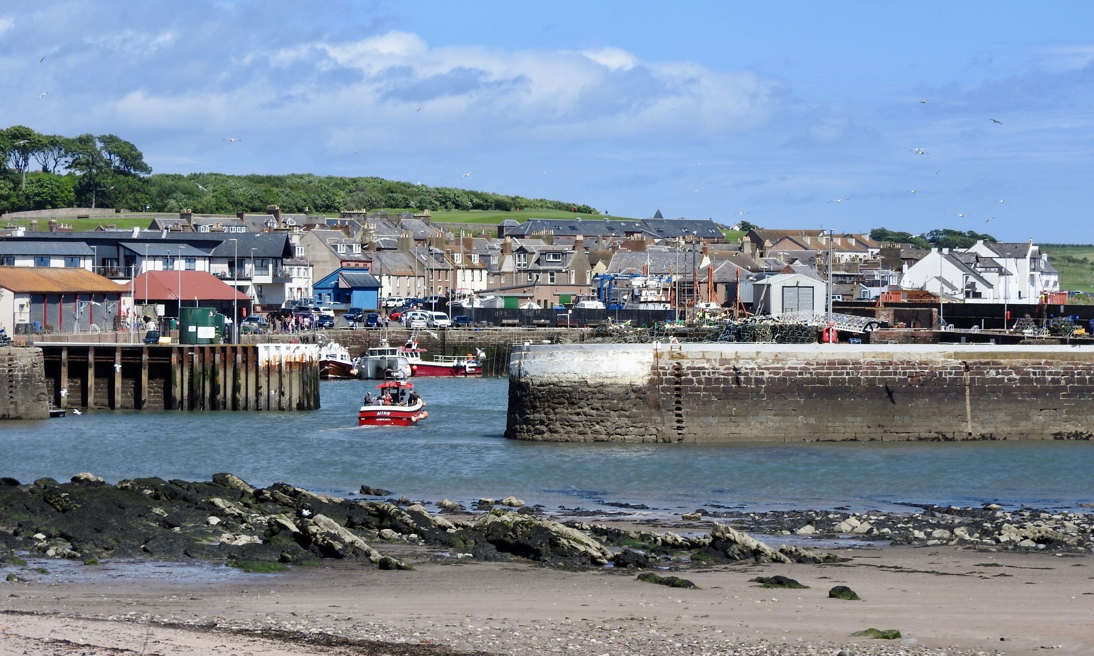 The harbour was built in 1839 and by the 20th century, Arbroath had become one of the larger fishing ports in Scotland.

The town is notable as the home of the Declaration of Arbroath, as well as the Arbroath smokie.

#LikeALocal
