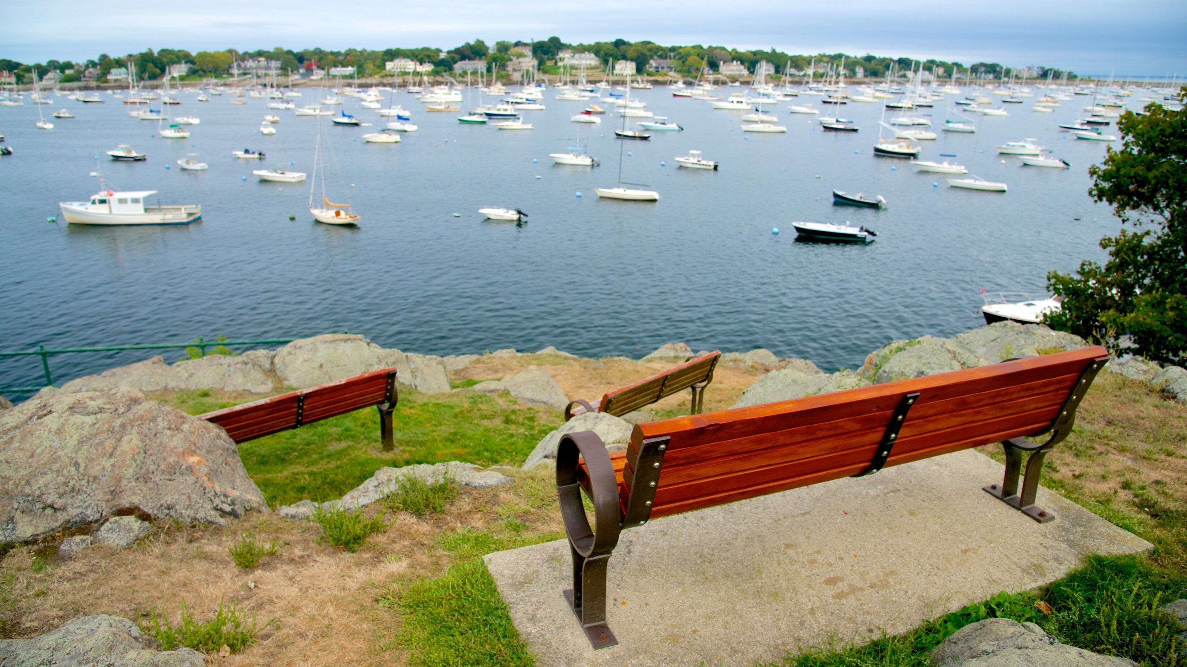 A harbor with numerous boats and two wooden benches overlooking the water.
